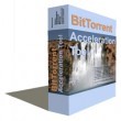 BitTorrent Acceleration Tool